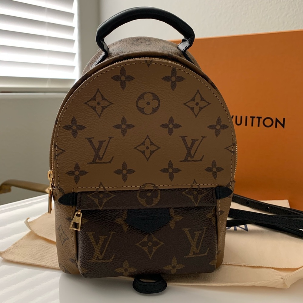 Louis Vuitton Reverse Palm Springs Mini